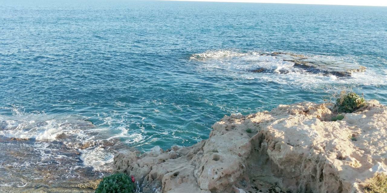 Estudio Jardin Del Mar Torrevieja Buitenkant foto